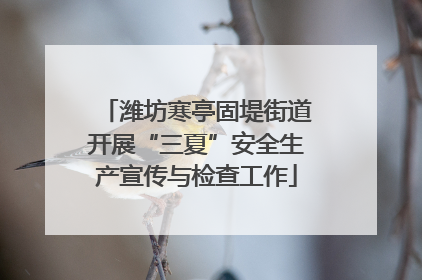 潍坊寒亭固堤街道开展“三夏”安全生产宣传与检查工作