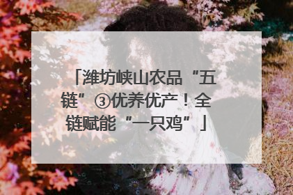 潍坊峡山农品“五链”③优养优产！全链赋能“一只鸡”