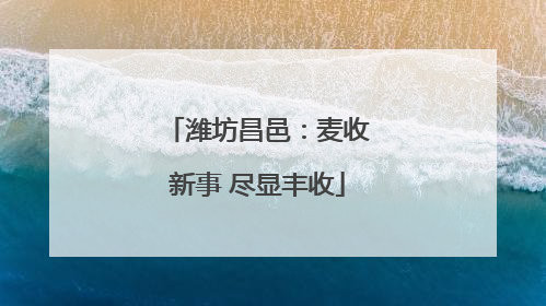 潍坊昌邑：麦收新事 尽显丰收