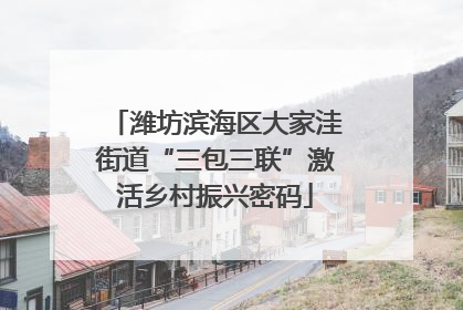 潍坊滨海区大家洼街道“三包三联”激活乡村振兴密码
