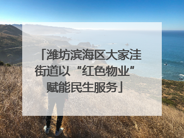 潍坊滨海区大家洼街道以“红色物业”赋能民生服务