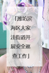 潍坊滨海区大家洼街道开展安全巡查工作