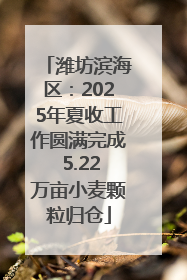 潍坊滨海区：2025年夏收工作圆满完成 5.22万亩小麦颗粒归仓