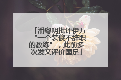 潘粤明批评伊万“一个装傻不辞职的教练”，此前多次发文评价国足