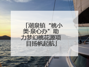 潮泉镇“桃小美·泉心办”助力梦幻桃花源项目扬帆起航