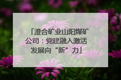 澄合矿业山阳煤矿公司：党建融入激活发展向“新”力
