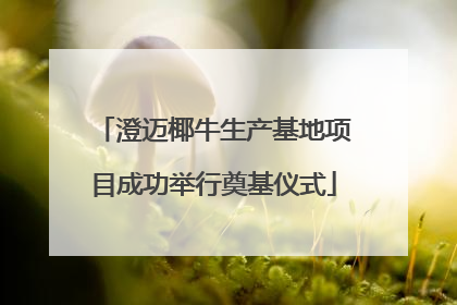 澄迈椰牛生产基地项目成功举行奠基仪式