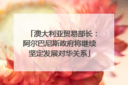 澳大利亚贸易部长：阿尔巴尼斯政府将继续坚定发展对华关系