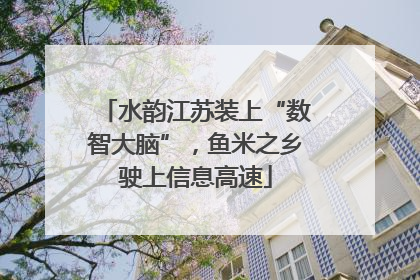 水韵江苏装上“数智大脑”，鱼米之乡驶上信息高速