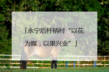 永宁后杆柄村“以花为媒，以果兴业”