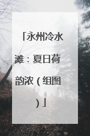 永州冷水滩：夏日荷韵浓（组图）