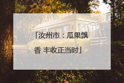 汝州市：瓜果飘香 丰收正当时