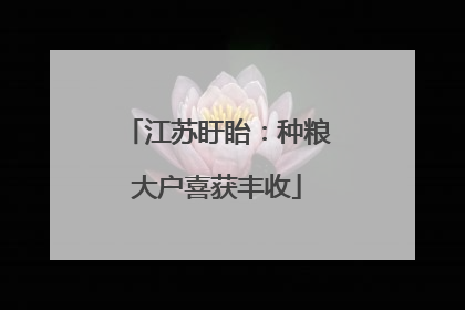 江苏盱眙：种粮大户喜获丰收