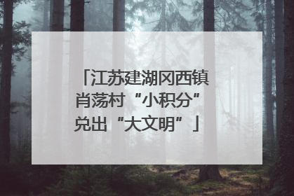 江苏建湖冈西镇肖荡村“小积分”兑出“大文明”