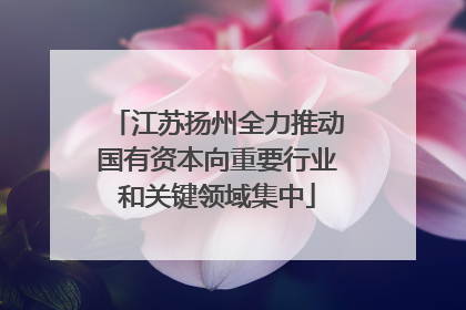 江苏扬州全力推动国有资本向重要行业和关键领域集中