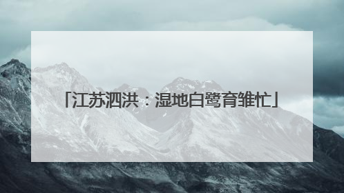 江苏泗洪：湿地白鹭育雏忙