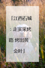 江西石城：走实采烤路 烤出黄金叶