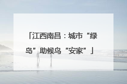 江西南昌：城市“绿岛”助候鸟“安家”