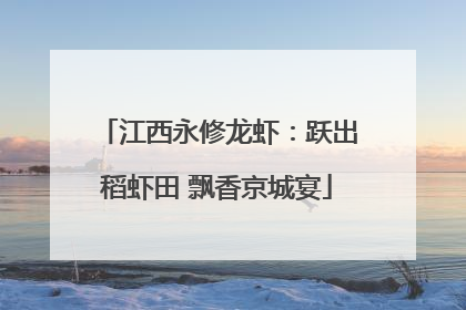 江西永修龙虾：跃出稻虾田 飘香京城宴