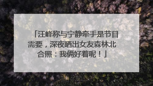 汪峰称与宁静牵手是节目需要，深夜晒出女友森林北合照：我俩好着呢！