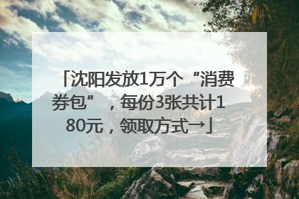 沈阳发放1万个“消费券包”，每份3张共计180元，领取方式→