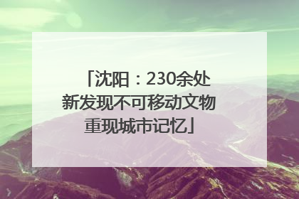 沈阳：230余处新发现不可移动文物重现城市记忆