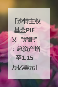 沙特主权基金PIF又“增肥”：总资产增至1.15万亿美元