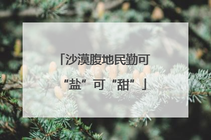 沙漠腹地民勤可“盐”可“甜”