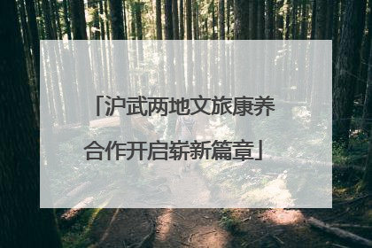 沪武两地文旅康养合作开启崭新篇章