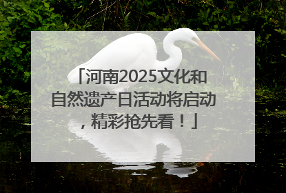 河南2025文化和自然遗产日活动将启动，精彩抢先看！