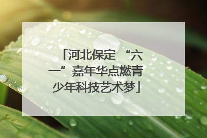 河北保定 “六一”嘉年华点燃青少年科技艺术梦