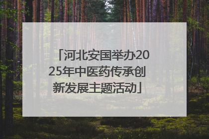 河北安国举办2025年中医药传承创新发展主题活动
