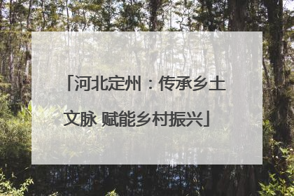 河北定州：传承乡土文脉 赋能乡村振兴