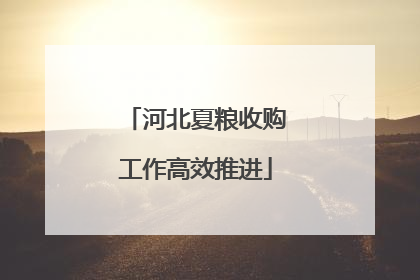 河北夏粮收购工作高效推进