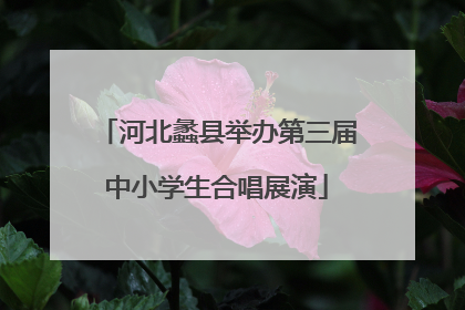 河北蠡县举办第三届中小学生合唱展演