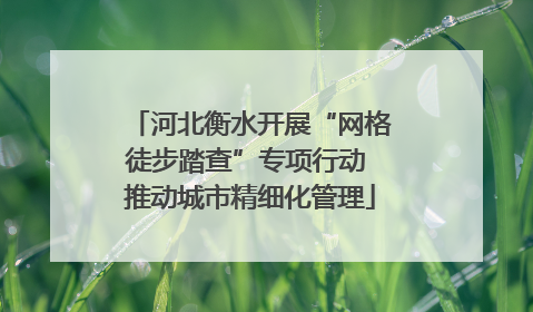 河北衡水开展“网格徒步踏查”专项行动 推动城市精细化管理