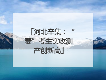 河北辛集：“麦”考生实收测产创新高