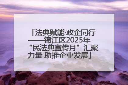 法典赋能·政企同行——锦江区2025年“民法典宣传月”汇聚力量 助推企业发展