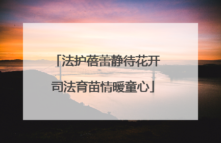 法护蓓蕾静待花开 司法育苗情暖童心