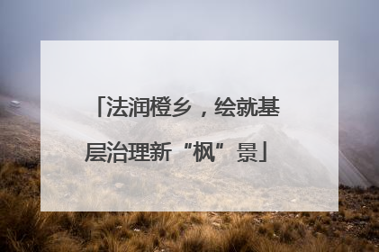 法润橙乡，绘就基层治理新“枫”景