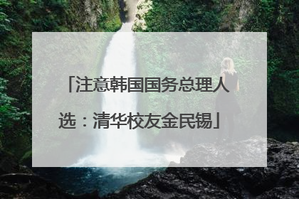 注意韩国国务总理人选：清华校友金民锡