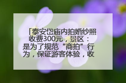 泰安岱庙内拍婚纱照收费300元，景区：是为了规范“商拍”行为，保证游客体验，收取费用全部上交国库