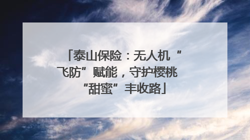 泰山保险：无人机“飞防”赋能，守护樱桃“甜蜜”丰收路