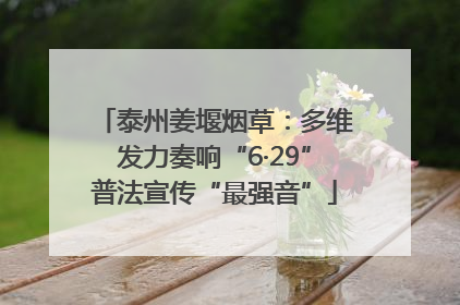 泰州姜堰烟草：多维发力奏响“6·29”普法宣传“最强音”