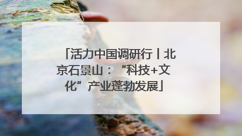 活力中国调研行丨北京石景山：“科技+文化”产业蓬勃发展