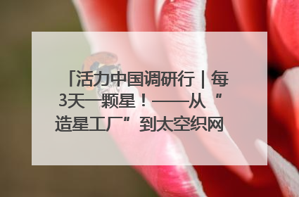活力中国调研行｜每3天一颗星！——从“造星工厂”到太空织网的“银河速度”