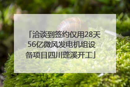 洽谈到签约仅用28天 56亿微风发电机组设备项目四川蓬溪开工
