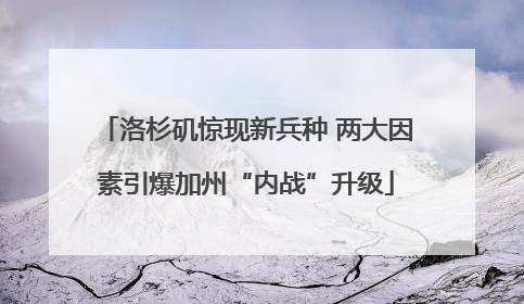 洛杉矶惊现新兵种 两大因素引爆加州“内战”升级