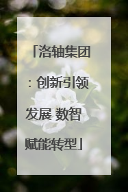 洛轴集团：创新引领发展 数智赋能转型