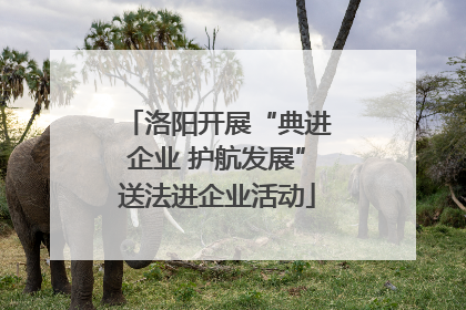 洛阳开展“典进企业 护航发展”送法进企业活动